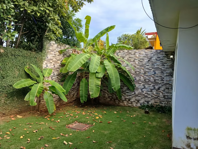 NO-Vendo casa en Veracruz - Imagen 9