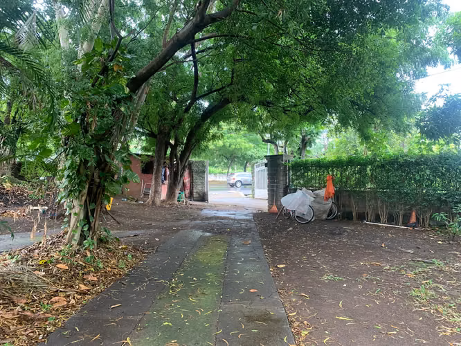 Venta de Terreno en Carretera a Masaya - Imagen 14