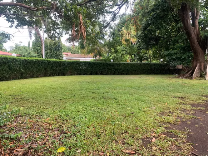Venta de Terreno en Carretera a Masaya - Imagen 15