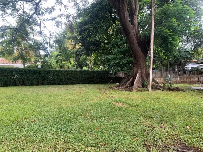 Venta de Terreno en Carretera a Masaya - Imagen 5