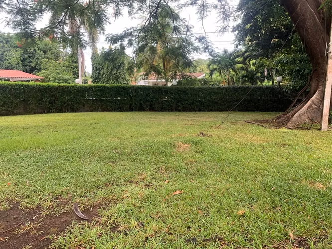 Venta de Terreno en Carretera a Masaya - Imagen 10