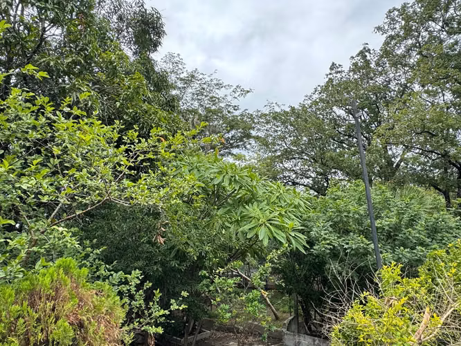 Venta de Finca en Nejapa
