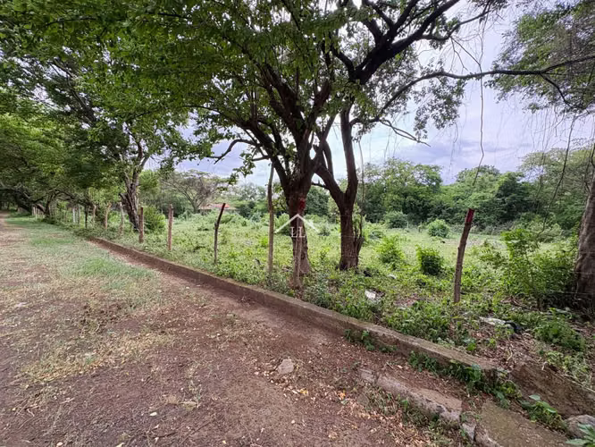 LL - Terreno en Venta en Km 19 Carretera a Masaya - Imagen 7