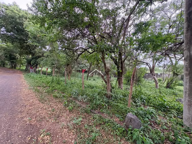 LL - Terreno en Venta en Km 19 Carretera a Masaya - Imagen 11