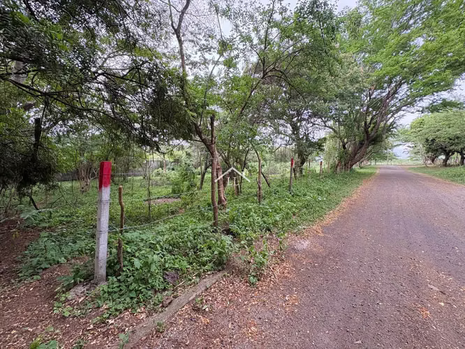 LL - Terreno en Venta en Km 19 Carretera a Masaya - Imagen 13