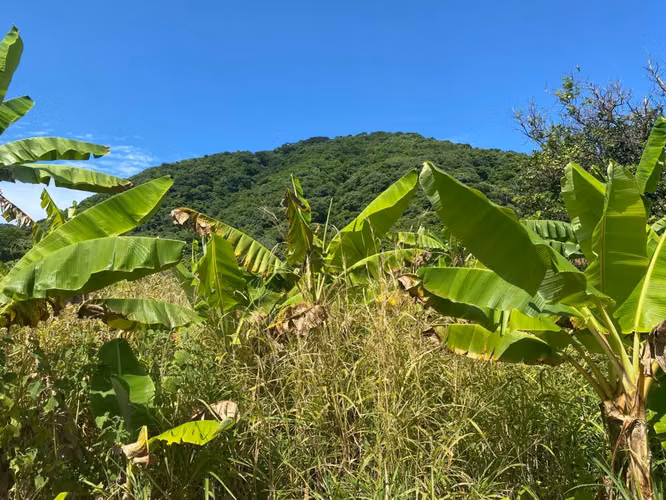 Venta de Finca en Carretera a Masaya - Imagen 11