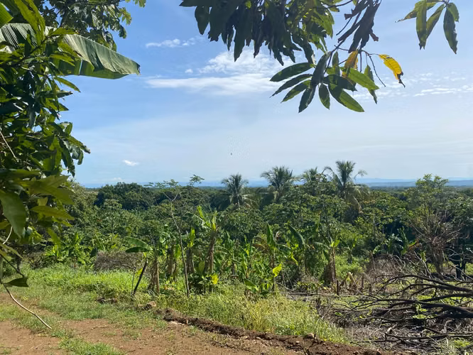 Venta de Finca en Carretera a Masaya - Imagen 12