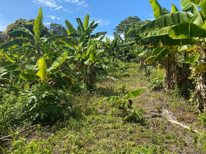 Venta de Finca en Carretera a Masaya - Imagen 6