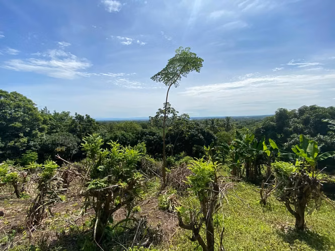 Venta de Finca en Carretera a Masaya - Imagen 10