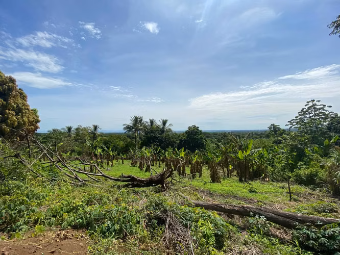 Venta de Finca en Carretera a Masaya - Imagen 3