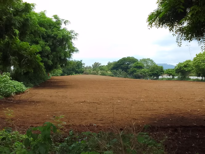 Venta de Terreno en Veracruz