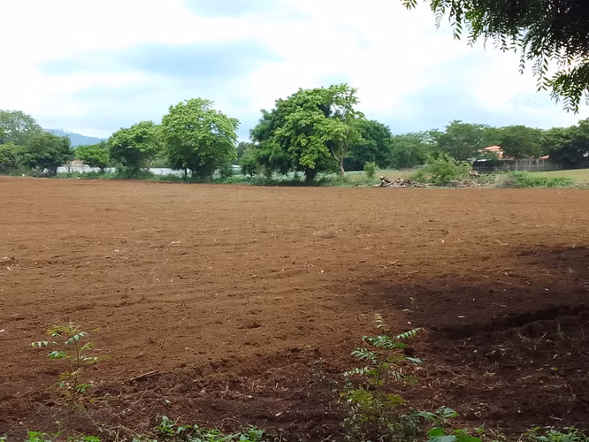 Venta de Terreno en Veracruz