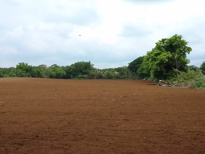 Venta de Terreno en Veracruz