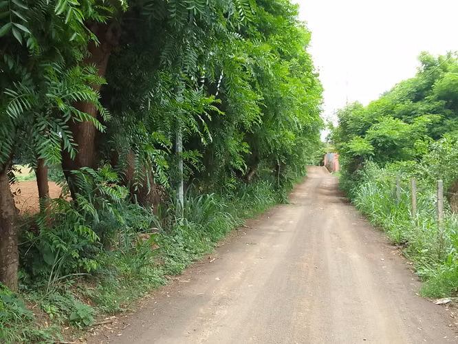 Venta de Terreno en Veracruz