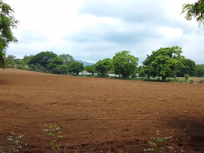 Venta de Terreno en Veracruz