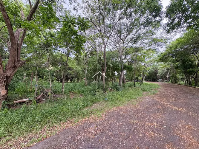 LL - Terreno en Venta en Km 19 Carretera a Masaya