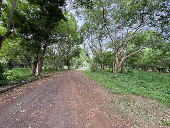 LL - Terreno en Venta en Km 19 Carretera a Masaya