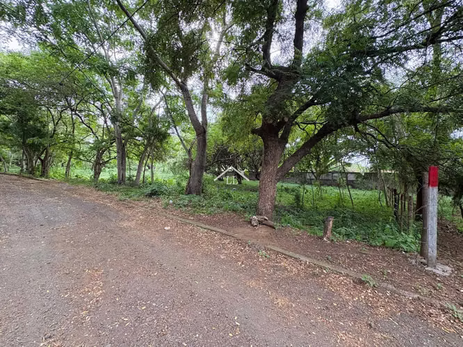 LL - Terreno en Venta en Km 19 Carretera a Masaya