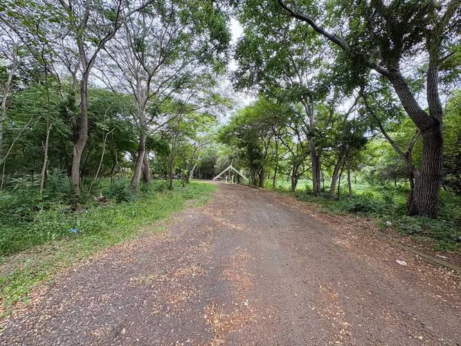 LL - Terreno en Venta en Km 19 Carretera a Masaya