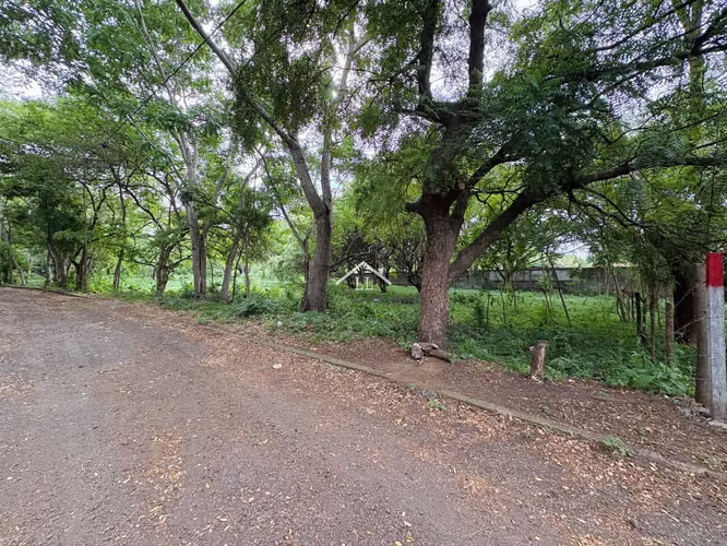 LL - Terreno en Venta en Km 19 Carretera a Masaya