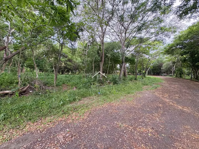 LL - Terreno en Venta en Km 19 Carretera a Masaya