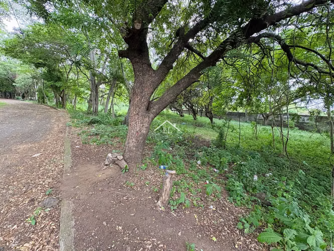 LL - Terreno en Venta en Km 19 Carretera a Masaya