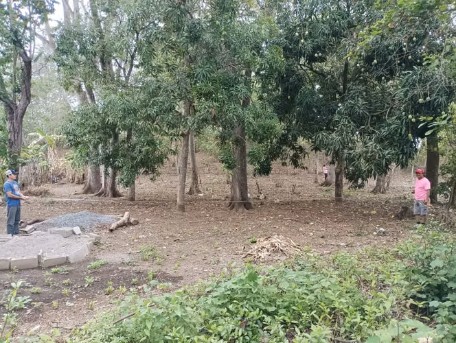 Venta de 3 Lotes de Tierra, cada uno mide 10 metros de frente por 28 metros de fondo