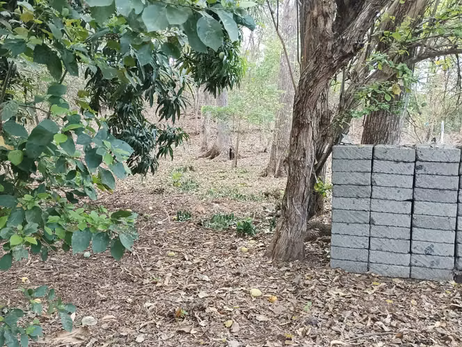Venta de 3 Lotes de Tierra, cada uno mide 10 metros de frente por 28 metros de fondo