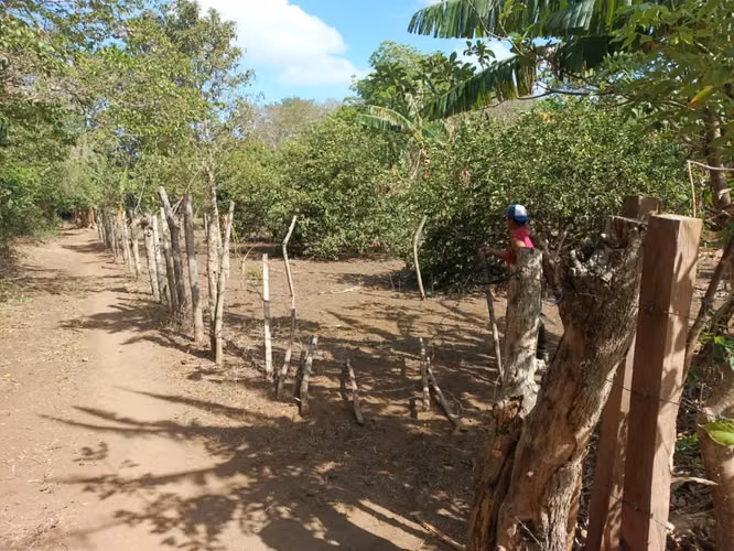 Vendo Terreno 2700 mts cuadrados A 5km de Masatepe/ Masaya