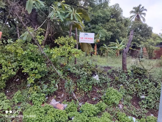 VENTA TERRENO SOBRE CARRETERA LEON TELICA, ZONA INDUSTRIAL
