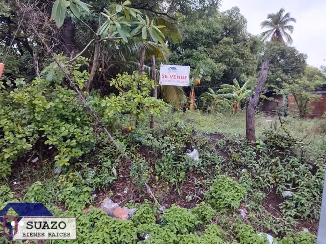 VENTA TERRENO SOBRE CARRETERA LEON TELICA, ZONA INDUSTRIAL