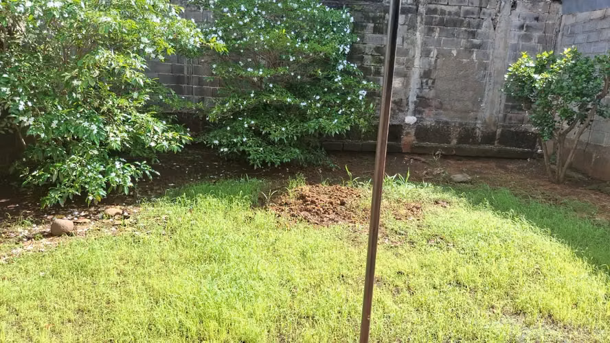 Se Renta casa en Colonia Centroámerica