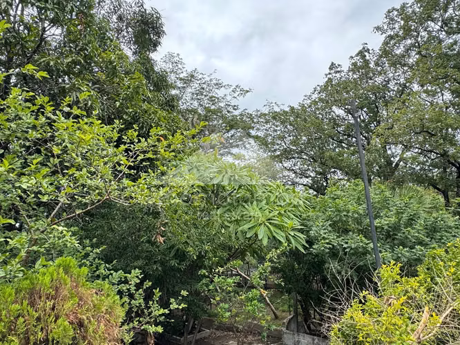 Quinta en Venta Nejapa, Managua