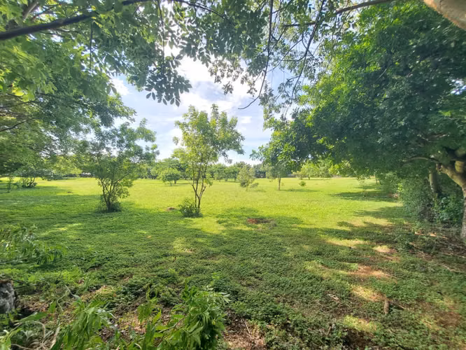 SL-Vendo terreno en Carretera Masaya, Tipitapa km 33