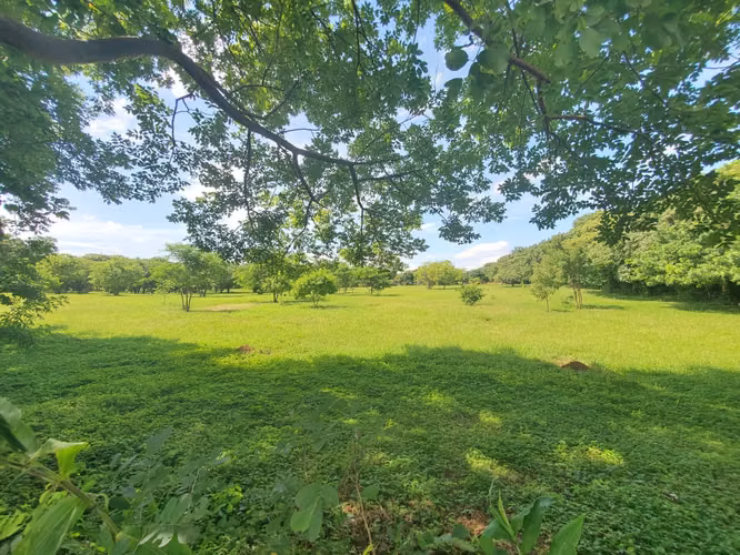 SL-Vendo terreno en Carretera Masaya, Tipitapa km 33