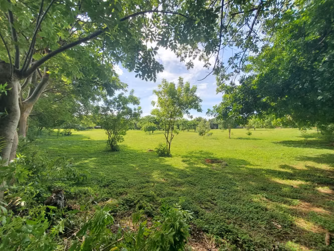 SL-Vendo terreno en Carretera Masaya, Tipitapa km 33