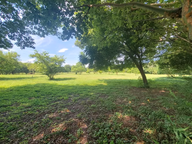 SL-Vendo terreno en Carretera Masaya, Tipitapa km 33