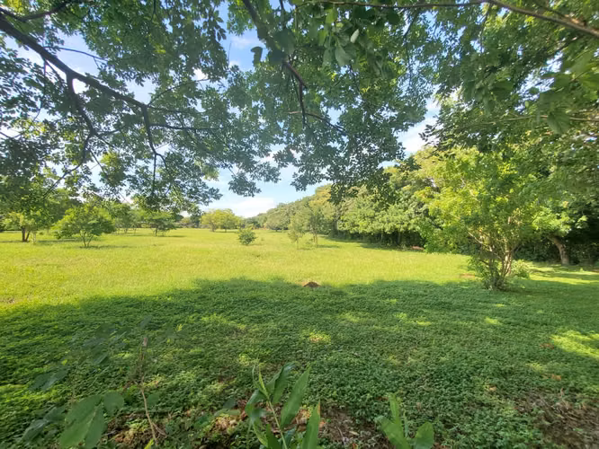 SL-Vendo terreno en Carretera Masaya, Tipitapa km 33