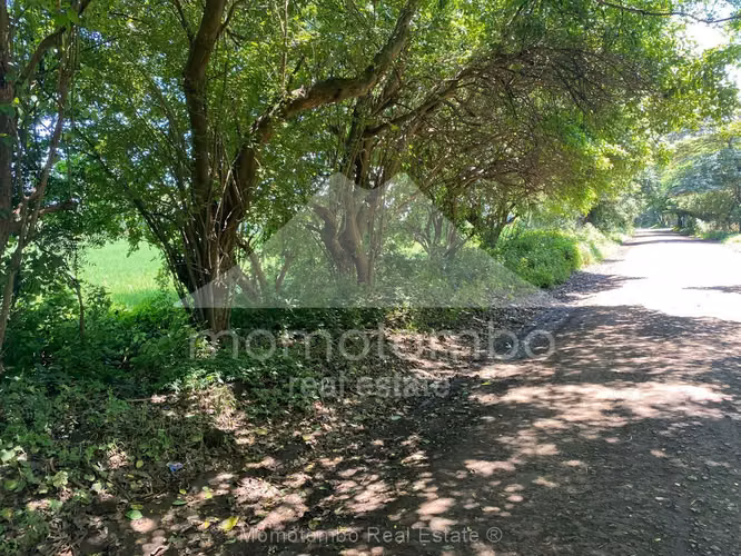 Terreno en Venta Veracruz, Nindiri
