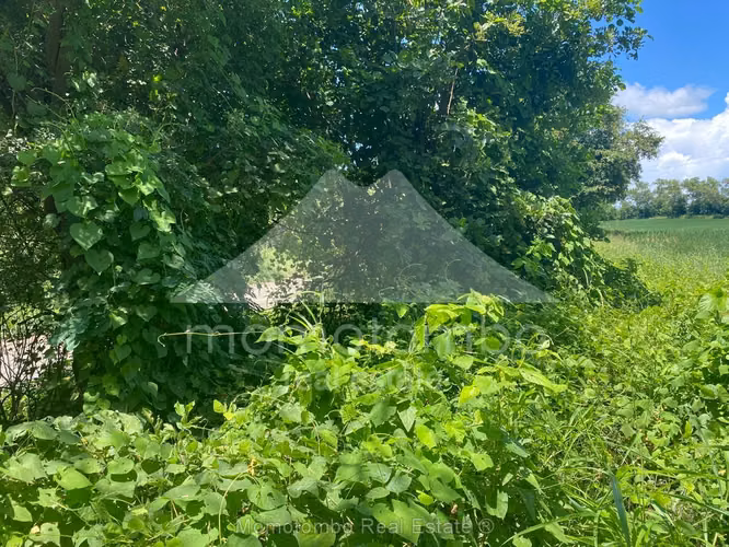 Terreno en Venta Veracruz, Nindiri