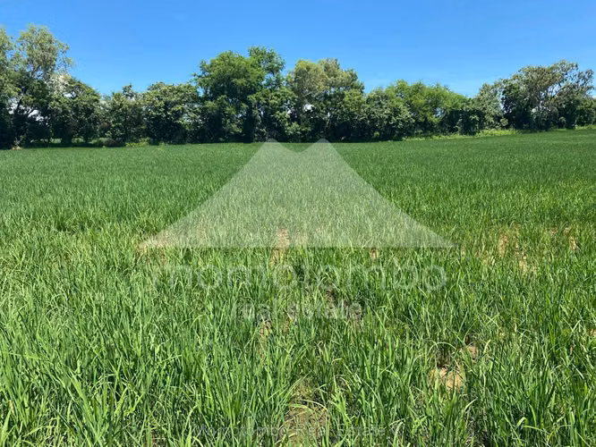 Terreno en Venta Veracruz, Nindiri