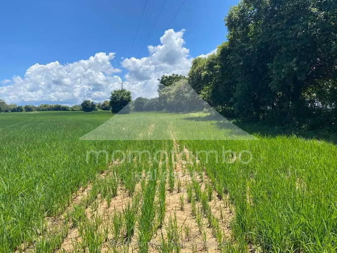 Terreno en Venta Veracruz, Nindiri