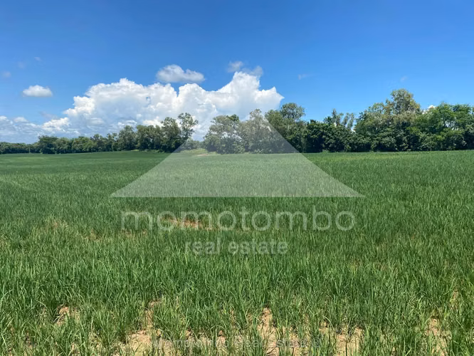 Terreno en Venta Veracruz, Nindiri