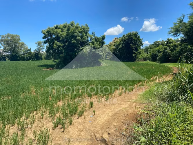 Terreno en Venta Veracruz, Nindiri