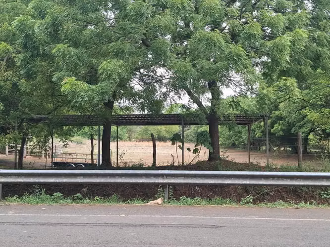 SE VENDE TERRENO SOBRE CARRETERA A PONELOYA
