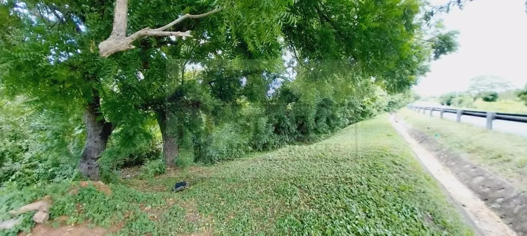 VENTA DE TERRENO 1 MNZ SOBRE CARRETERA PONELOYA - Imagen 5