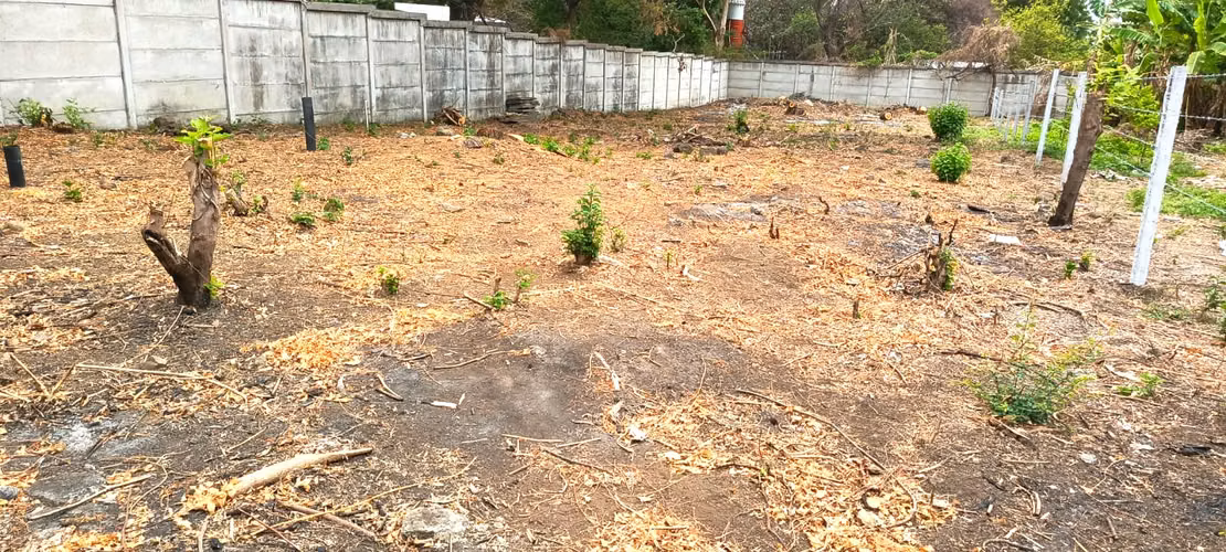 EM-Venta de Terreno en Residencial Avalon