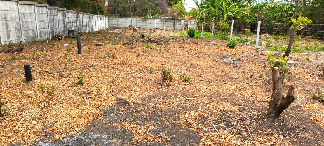 EM-Venta de Terreno en Residencial Avalon