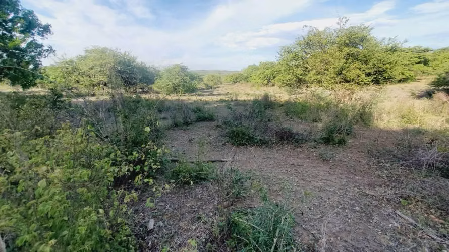 SE VENDE FINCA GANADERA CARRETERA PONELOYA