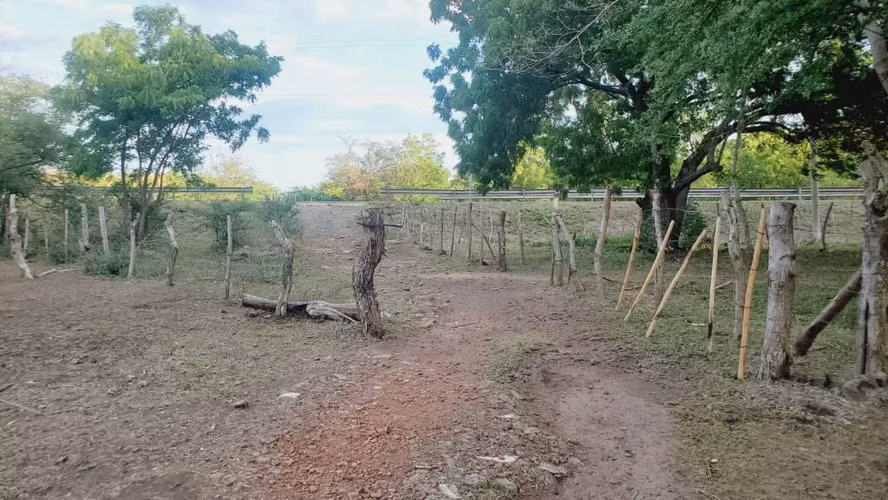 SE VENDE FINCA GANADERA CARRETERA PONELOYA